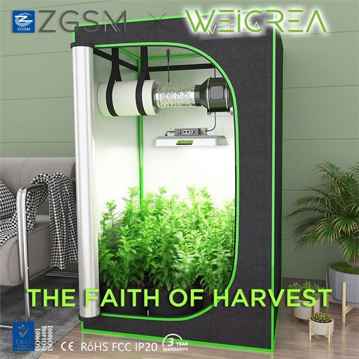 Grow Lights in China